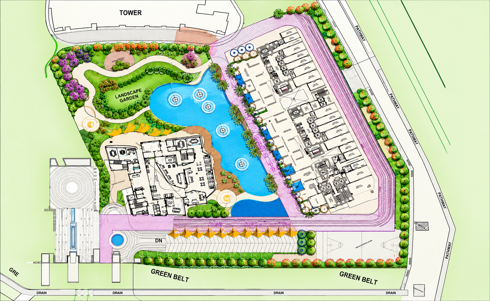 Site Layout