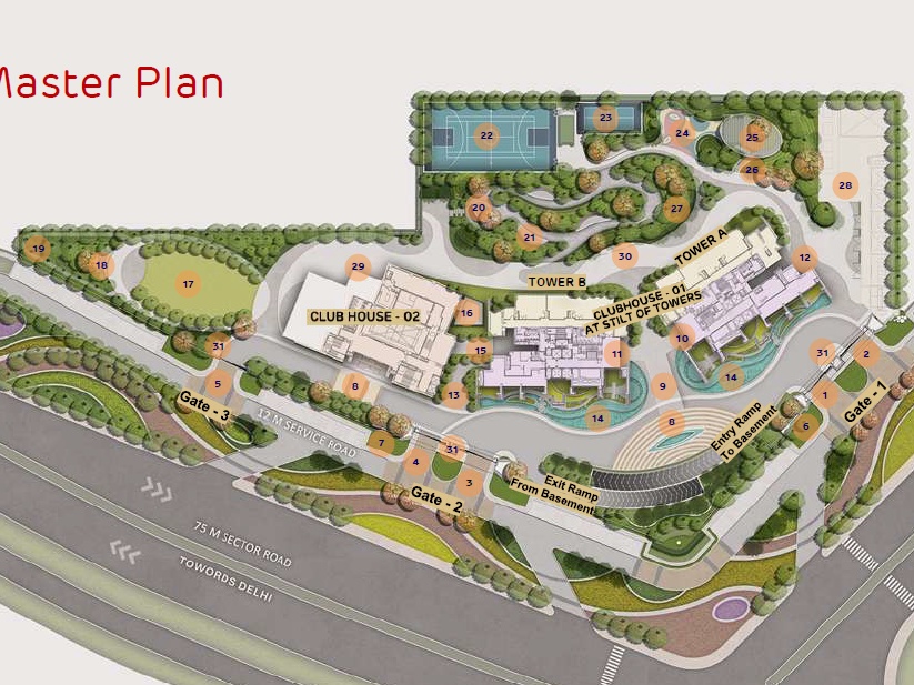 Site Layout