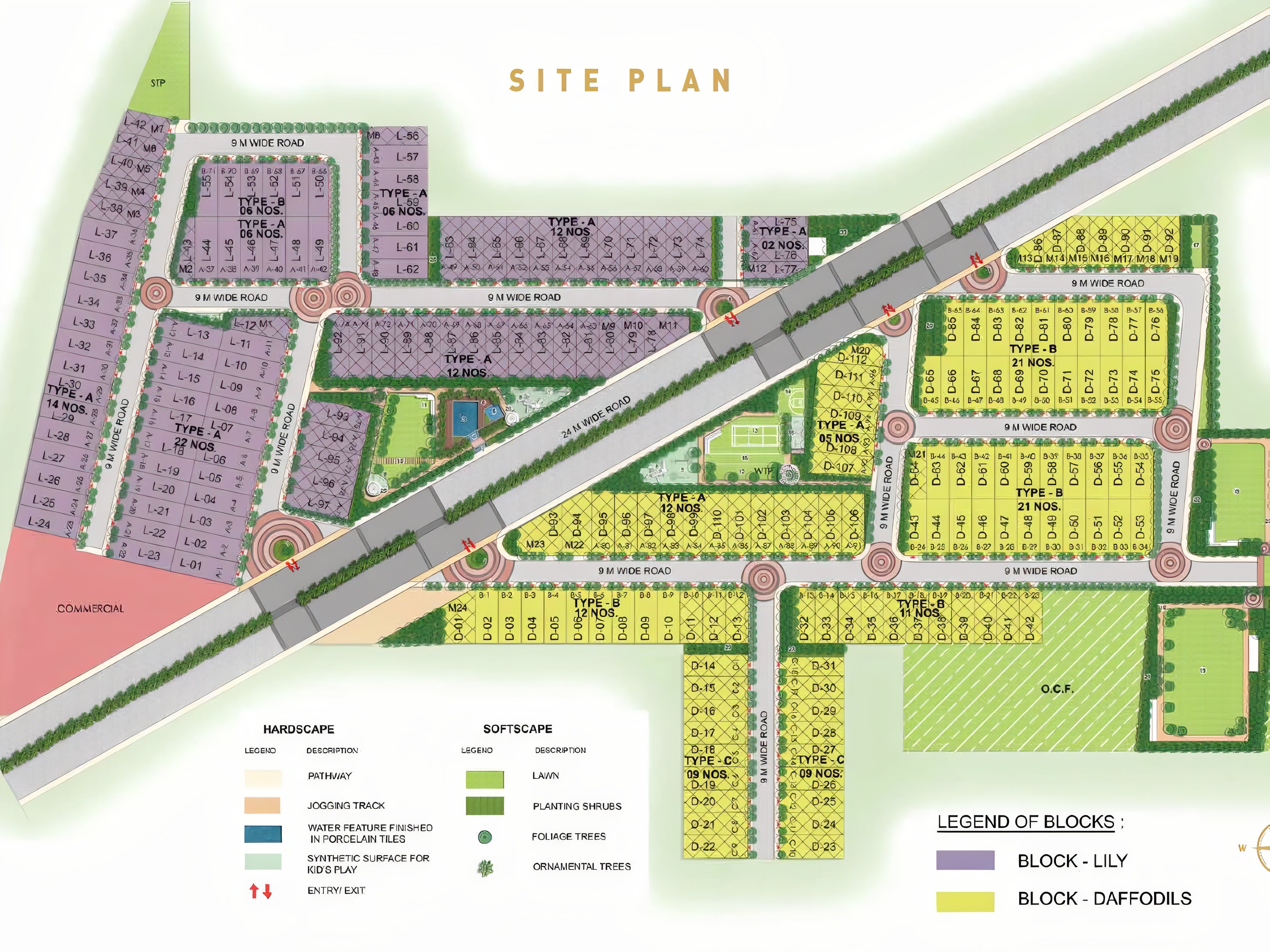Site Layout