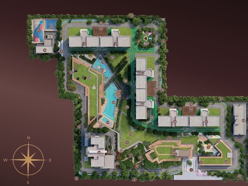 Site Layout