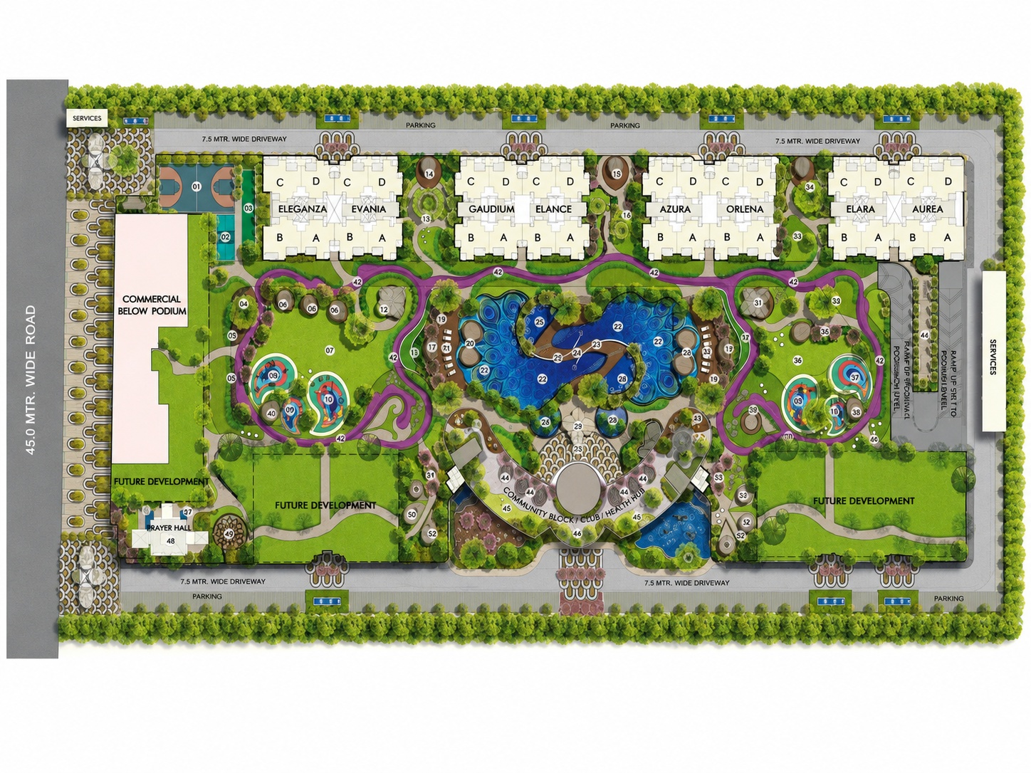 Site Layout