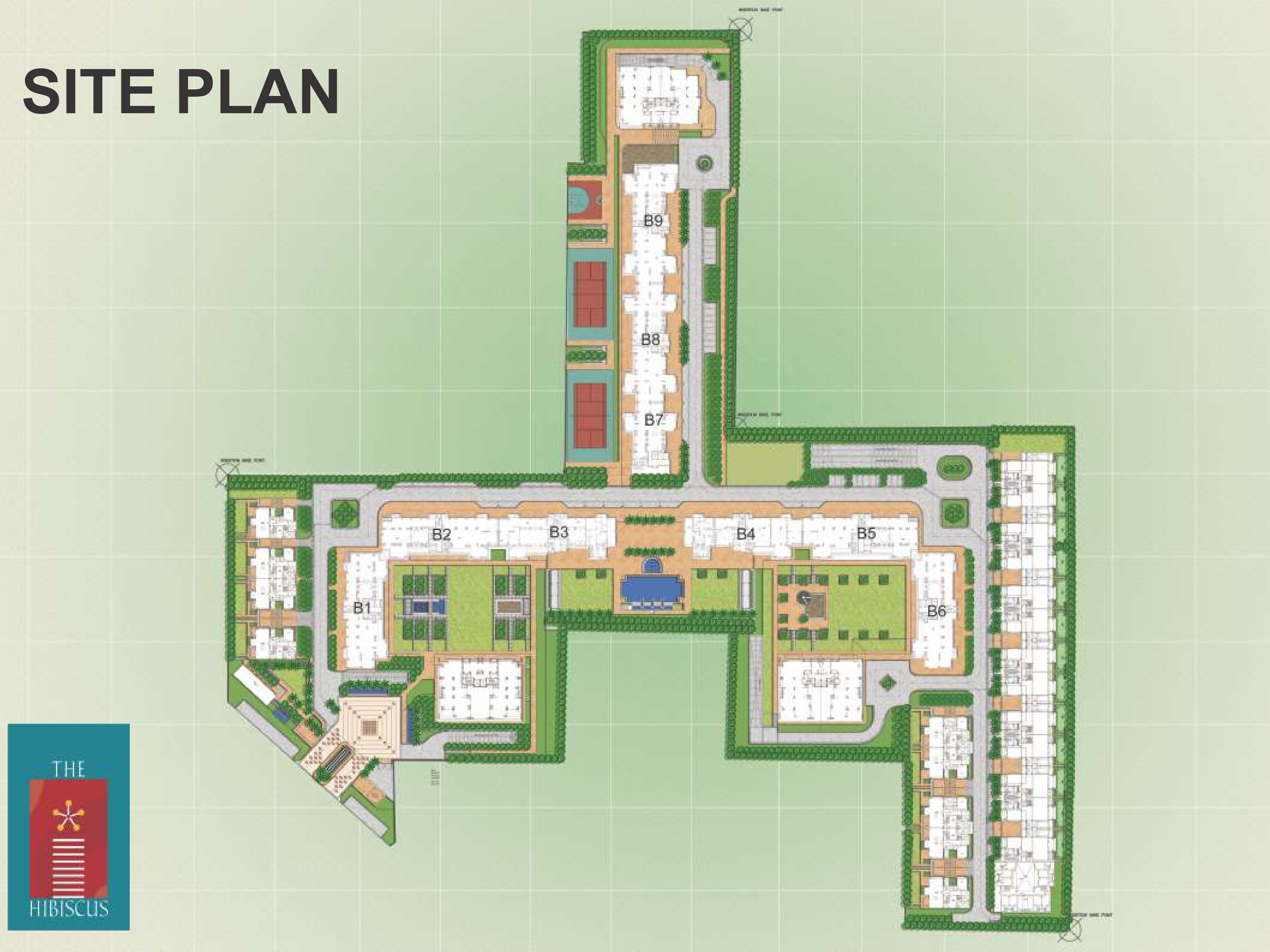 Site Layout