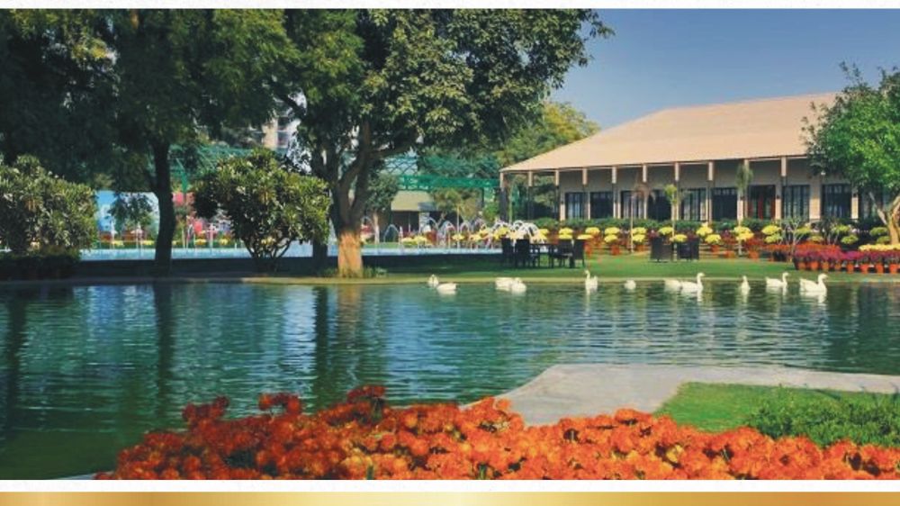 CENTRAL PARK FLAMINGO FLOORS