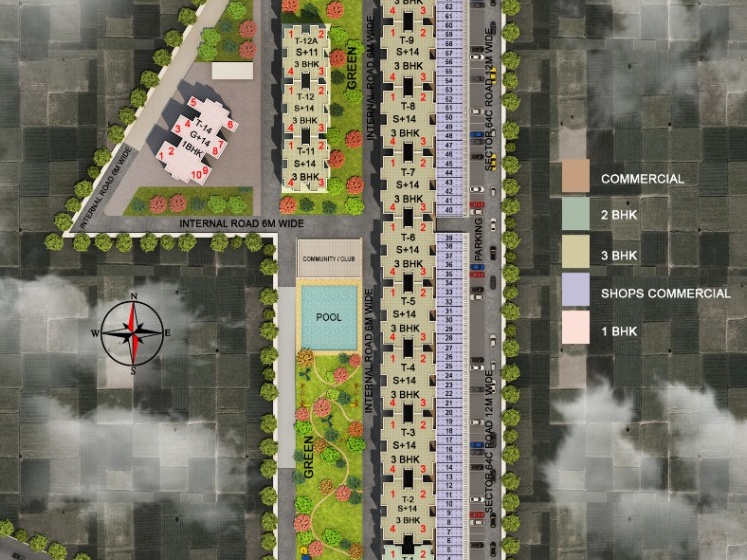 Site Layout