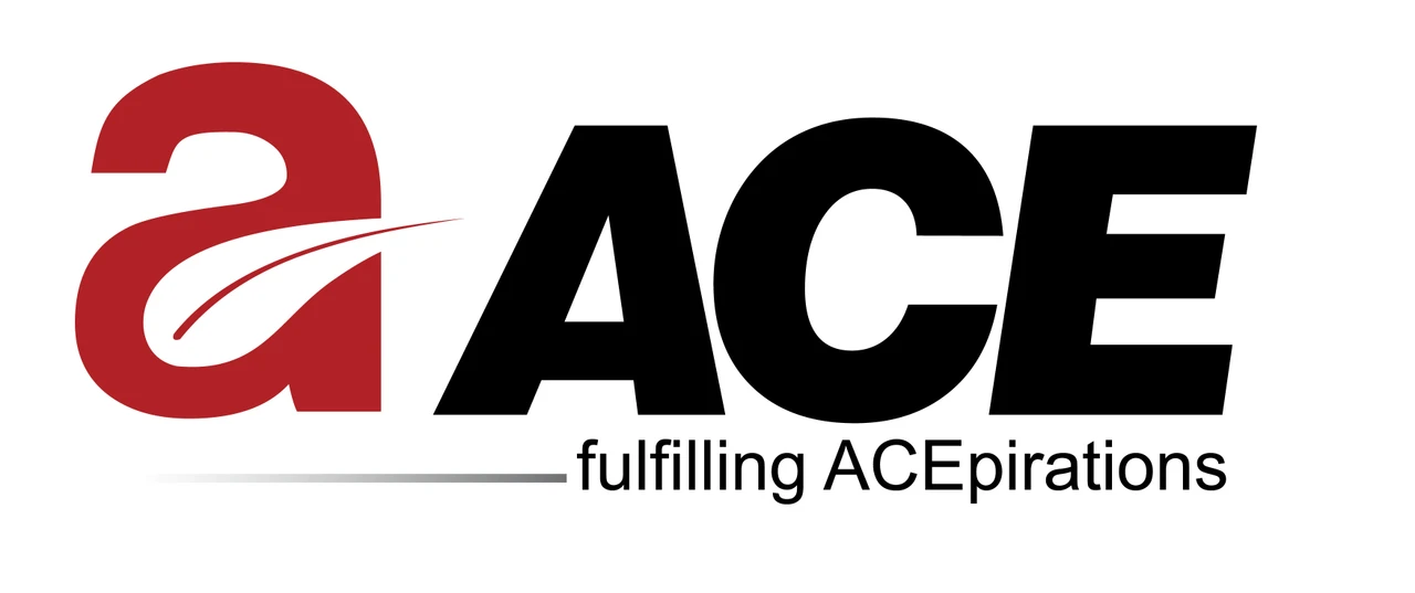 ACE Group India