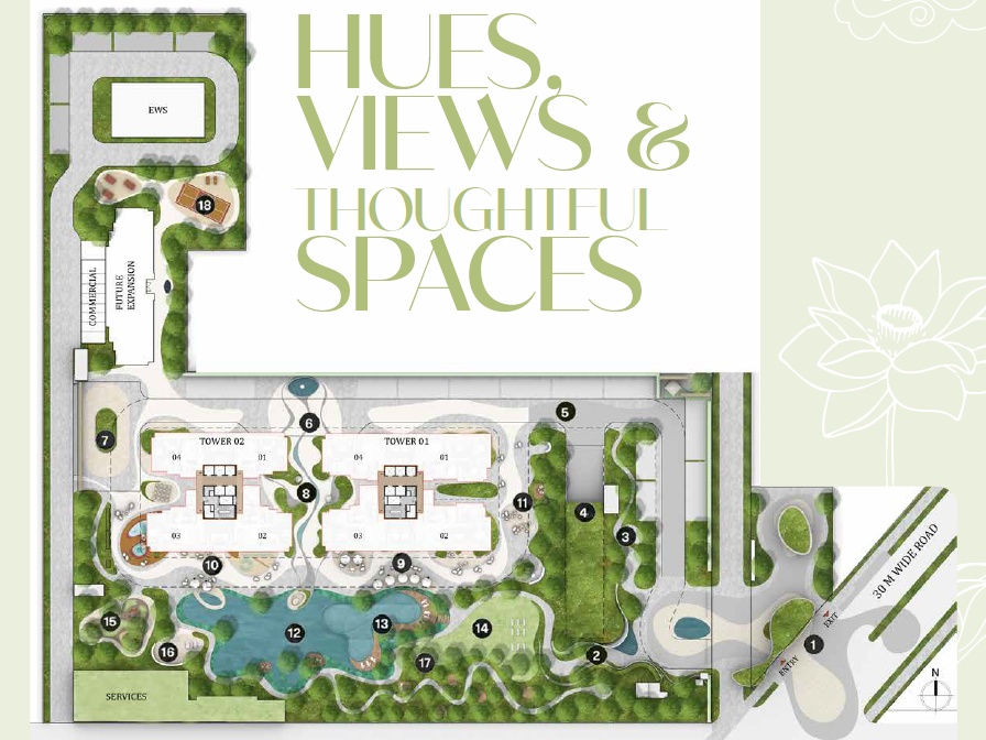 Site Layout