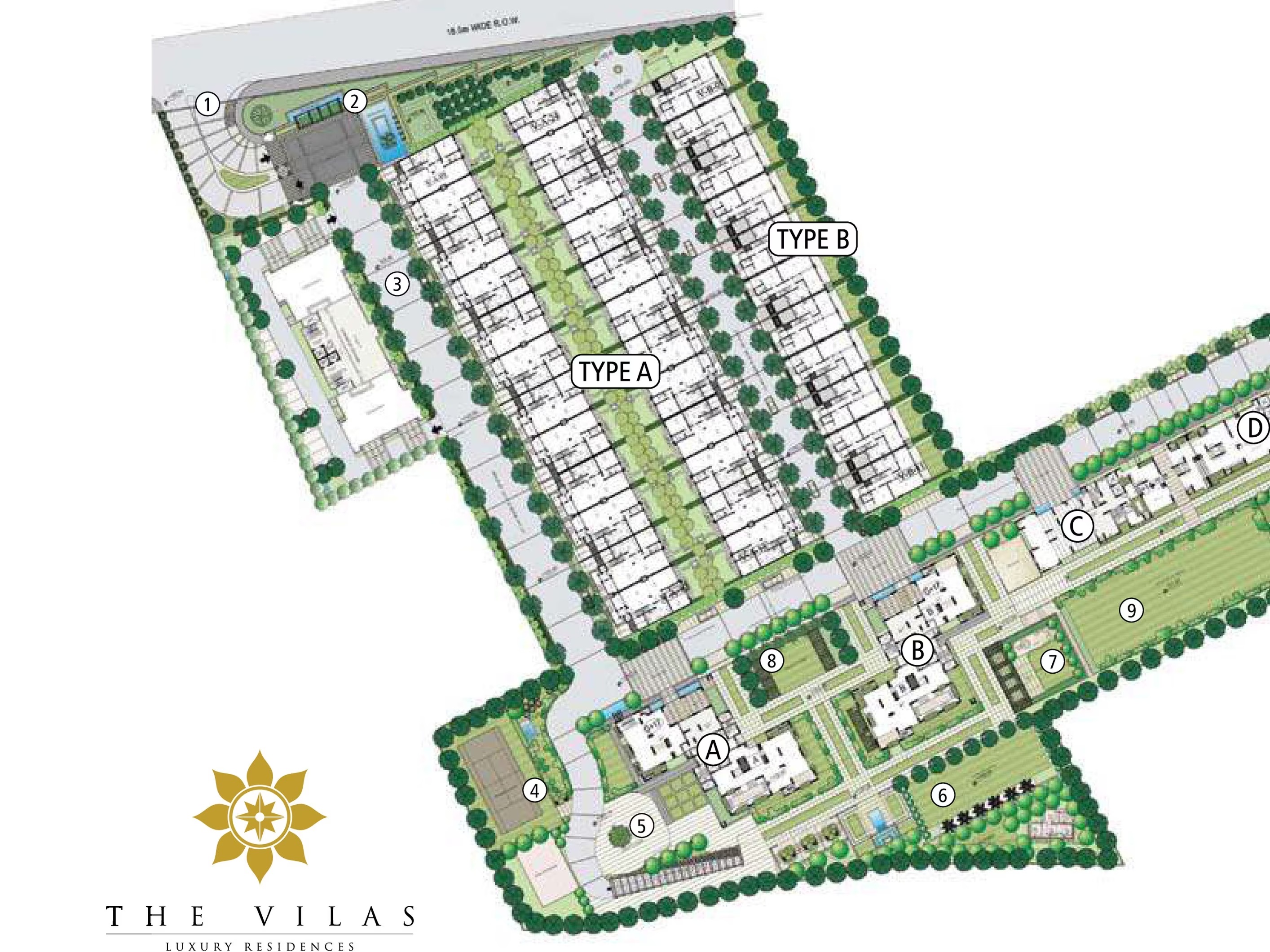Site Layout